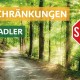 Radfahrer im Wald