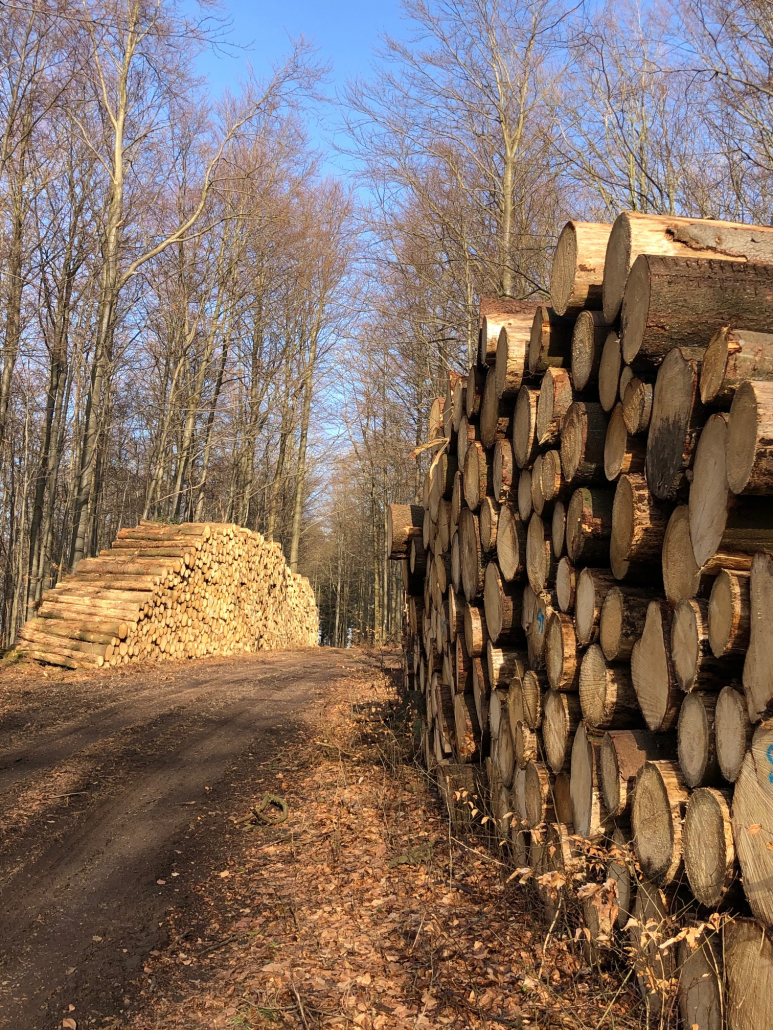 IMG_0837 Was ist mit dem Bauholz los?